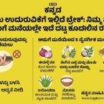 ಕೂದಲು ಉದುರುವಿಕೆಗೆ ಇಲ್ಲಿದೆ ಬ್ರೇಕ್: ನಿಮ್ಮ ಮನೆಯ ಅಡುಗೆ ಮನೆಯಲ್ಲೇ ಇದೆ ದಟ್ಟ ಕೂದಲಿನ ರಹಸ್ಯ!