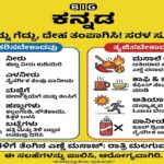 ಬೇಸಿಗೆಯ ಬಿಸಿಗೆ ಬ್ರೇಕ್: ದೇಹವನ್ನು ತಂಪಾಗಿರಿಸಲು ಇಲ್ಲಿವೆ ಸರಳ ಮಾರ್ಗಗಳು