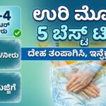 ಯೂರಿನ್ ಇನ್ಫೆಕ್ಷನ್ ಹಾಗೂ ಉರಿ ಮೂತ್ರಕ್ಕೆ ಬ್ರೇಕ್ ಹಾಕಿ: ದೇಹವನ್ನು ತಂಪಾಗಿಸಲು ಇಲ್ಲಿದೆ ಬೆಸ್ಟ್ ಟಿಪ್ಸ್!
