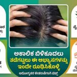 ಅಕಾಲಿಕ ಬಿಳಿಕೂದಲು ತಡೆಗಟ್ಟಲು ಈ ಅಭ್ಯಾಸಗಳನ್ನು ಇಂದೇ ರೂಢಿಸಿಕೊಳ್ಳಿ: ಆರೋಗ್ಯಕರ ಕೇಶರಾಶಿಗಾಗಿ ಟಿಪ್ಸ್!