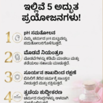 ಚರ್ಮದ ಕಾಂತಿ ಹೆಚ್ಚಿಸಲು ರೋಸ್ ವಾಟರ್ ಸಂಜೀವಿನಿ: ಇಲ್ಲಿವೆ 5 ಅದ್ಭುತ ಪ್ರಯೋಜನಗಳು!