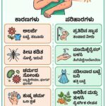 ಮೈಯೆಲ್ಲಾ ಸಣ್ಣ ಸಣ್ಣ ಗುಳ್ಳೆಗಳು ಮತ್ತು ವಿಪರೀತ ತುರಿಕೆ ಕಾಡುತ್ತಿದೆಯೇ? ಕಾರಣ ಮತ್ತು ಮನೆಮದ್ದುಗಳು ಇಲ್ಲಿವೆ!