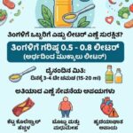 ತಿಂಗಳಿಗೆ ಒಬ್ಬರಿಗೆ ಎಷ್ಟು ಲೀಟರ್ ಎಣ್ಣೆ ಸುರಕ್ಷಿತ? ಅಡುಗೆಮನೆಯ ಈ ಸೂತ್ರ ತಿಳಿಯದಿದ್ದರೆ ಹೃದಯಕ್ಕೆ ಕಂಟಕ!
