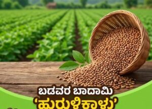 ಬಡವರ ಬಾದಾಮಿ ‘ಹುರುಳಿಕಾಳು’: ತೂಕ ಇಳಿಕೆಯಿಂದ ಹಿಡಿದು ಉಕ್ಕಿನಂತಹ ತಾಕತ್ತಿಗೆ ಇದೇ ಬೆಸ್ಟ್!